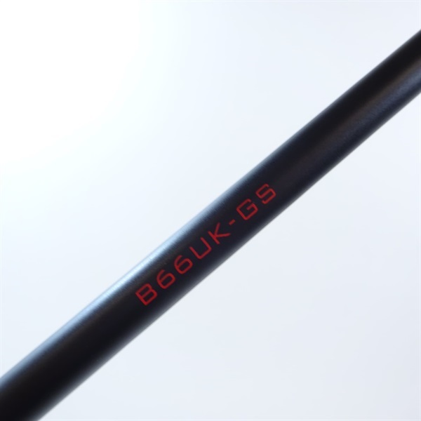 ２１セフィアエクスチューンメタルスッテＢＮ６６ＵＫ－ＧＳ